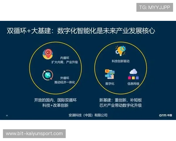 开源体育馆网推动体育场馆行业数字化创新的成功案例与未来展望